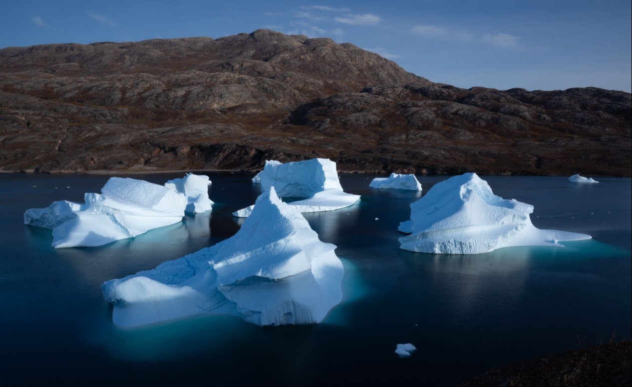 20250612431417104244.png 20250612431417104244.png