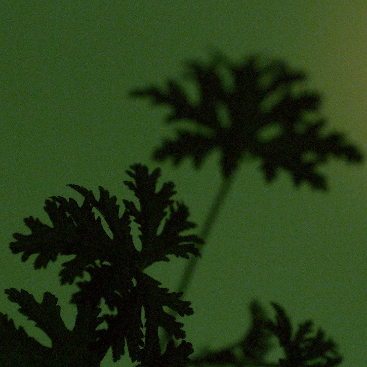 Geranium Leaf 2025 PR Campaign Hero Image 03 2000 x 2000.jpg