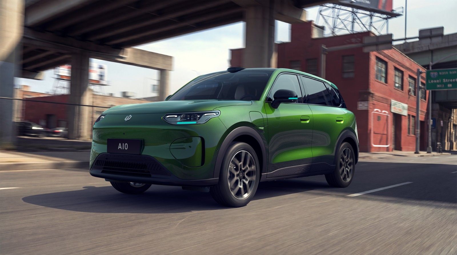 20260327251451693652.jpg 海苔绿-动态.jpg